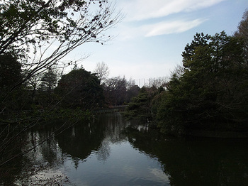 武蔵関公園.jpg