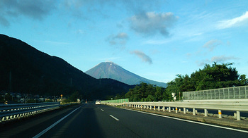 草カップ　富士山.jpg